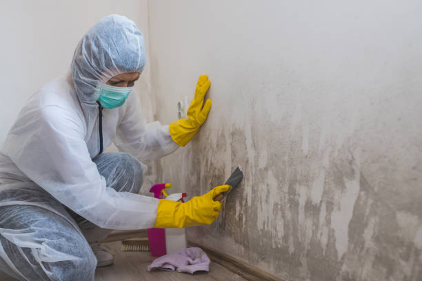 Best Post-Remediation Services in Covington, VA