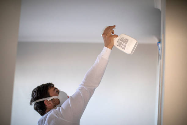 Best Black Mold Remediation in Covington, VA