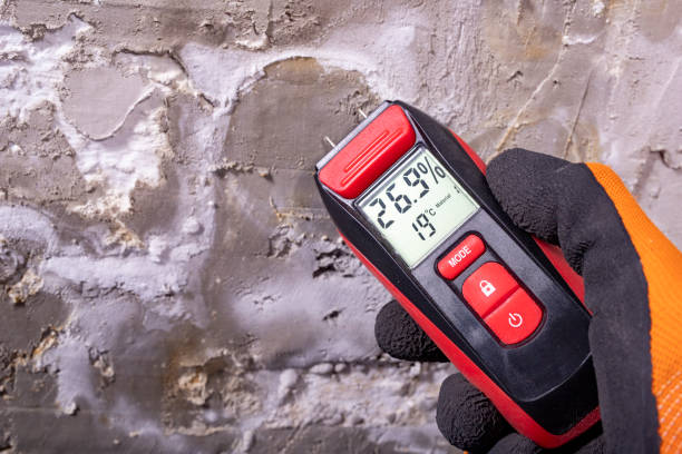 Best Mold Remediation for Specific Building Types in Covington, VA