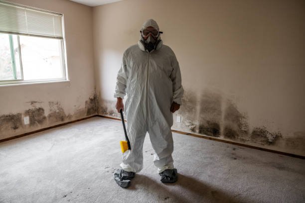 Best Crawl Space Mold Remediation in Covington, VA